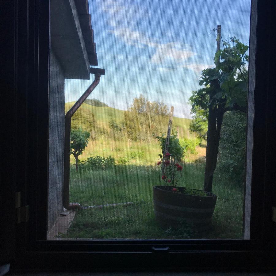 Il Canto Del Gallo Lägenhet Murlo Exteriör bild